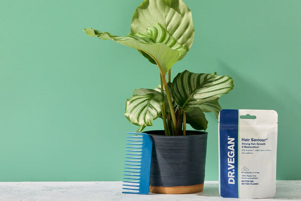 Unlock The Power Of Plants: Unveiling Vegan Supplements With DR.VEGAN® Co-Founder, Gordon Lott