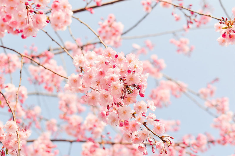 Spring Forward Your Skincare