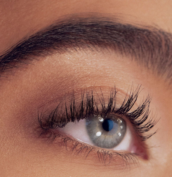 RevitaLash Lash & Brow Enhancement Bundle