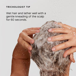 Philip Kingsley Pure Blonde/Silver Shampoo