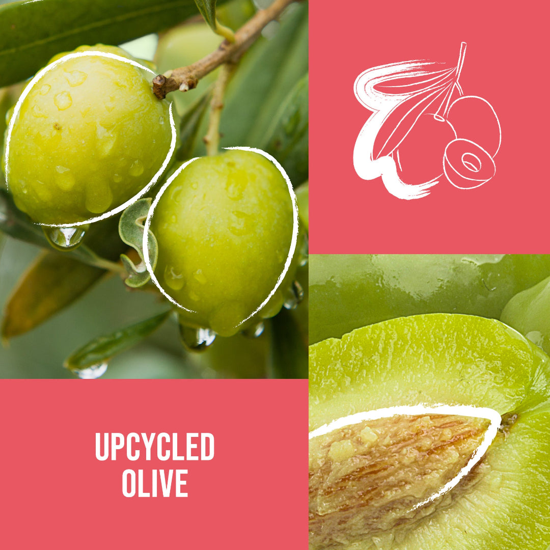 Green olives on a branch with a close-up of an olive and a logo on a pink background.