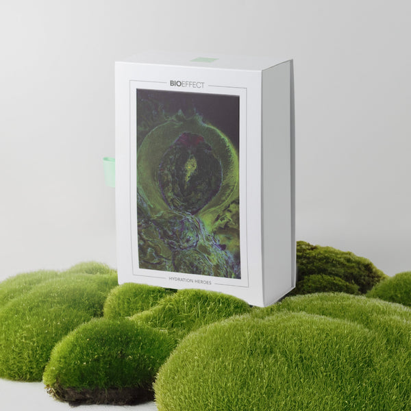 BIOEFFECT Hydration Heroes Holiday Gift Set 2025 (Worth £164)