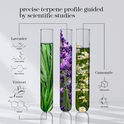 An infographic-style product image showing three tall test tubes filled with botanical liquid, labeled for lavender, vetivert, and camomile, with chemical structures and ingredient names on a light gray background.