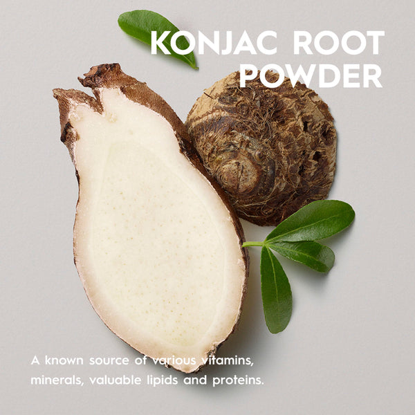 Konjac root powder with a gray background