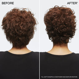 Redken All Soft Conditioner for Dry Hair, with Argan Oil for Softness and Shine 300ml