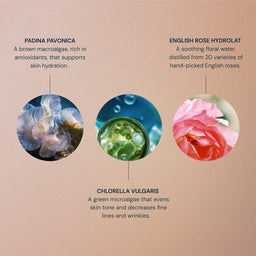 Elemis Pro-Collagen Rose Essence-in-Lotion 100ml